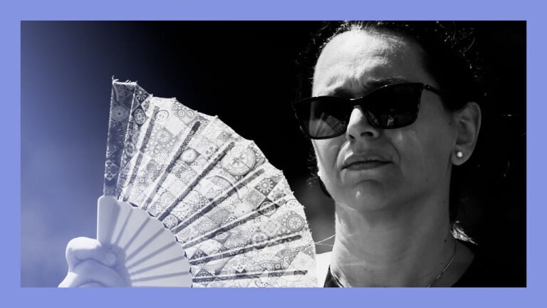 Taking the shine off: albedo and global temperatures