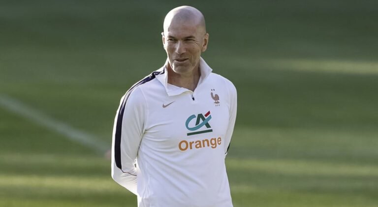 Zidane faces Italy in France homecoming