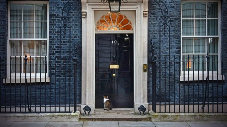 Downing Street calls in IPO candidates and investors for talks